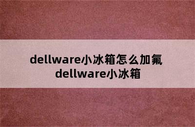 dellware小冰箱怎么加氟 dellware小冰箱